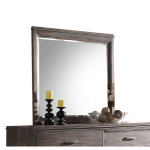 ACME Furniture - Bayonne Mirror - 23894