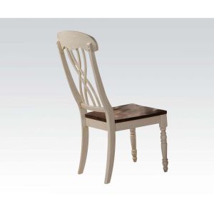 ACME Furniture - Dylan Side Chair (Set of 2) - 70333