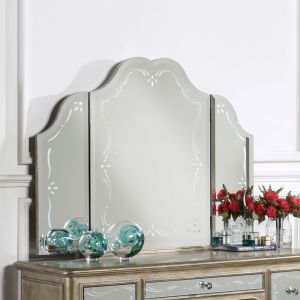 ACME Furniture - Esteban Vanity Mirror - 22210