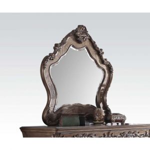 ACME Furniture - Ragenardus Mirror - 26314