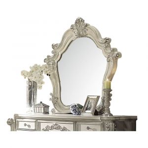 ACME Furniture - Versailles Mirror - 21134