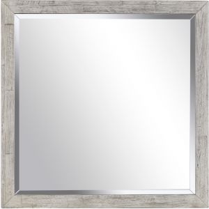 Emery Park - Zane Landscape Mirror in Parchment Finish - I256-462