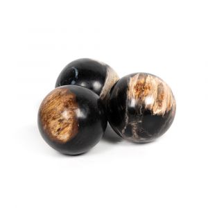 Four Hands - Petrified Wood Balls, Set 3 - Dark - 227718-001