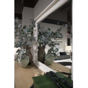 Parker House - Americana Modern Bedroom Mirror Landscape with Bevel - BAME#3144-COT