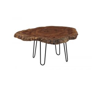 Phillips Collection - Burled Coffee Table, Black Metal Legs, Large - TH93212