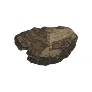 Phillips Collection - Cast Petrified Wood Wall Tile, Resin - PH94505