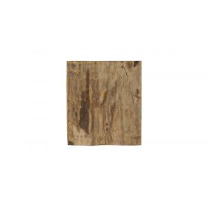 Phillips Collection - Cast Petrified Wood Wall Tile, Resin, Square - PH89988