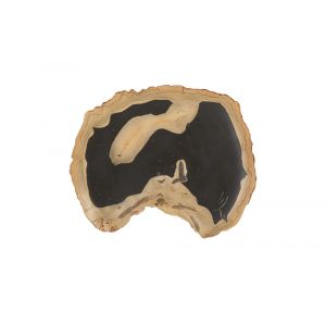 Phillips Collection - Cast Petrified Wood Wall Tile, Resin, Thin - PH92564