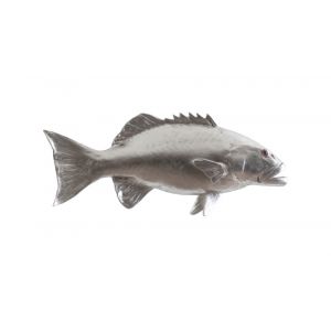 Phillips Collection - Coral Trout Fish Wall Sculpture, Resin, Silver Leaf - PH64543