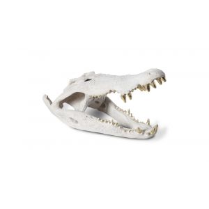 Phillips Collection - Crocodile Skull, Roman Stone, Gold Leaf - PH56708
