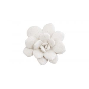 Phillips Collection - Laui Succulent Wall Art, White Stone - PH104150