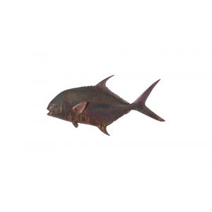 Phillips Collection - Permit Fish Wall Sculpture, Resin, Copper Patina Finish - PH99971