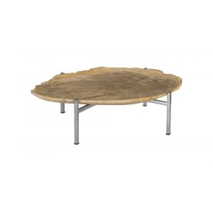 Phillips Collection - Petrified Wood Tray, Stainless Steel Base, Assorted Styles and Sizes - ID88055