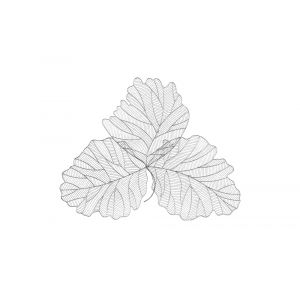 Phillips Collection - Tri Leaf Wall Art, Large, Metal, Silver/Black - TH100857