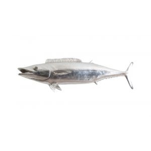 Phillips Collection - Wahoo Fish, Silver Leaf - PH62417