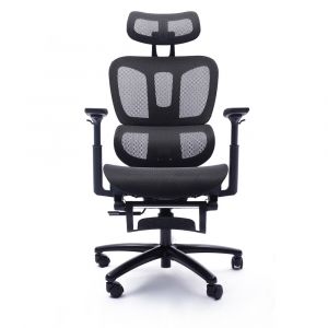 Primo International - Sealy Huxley Adjustable Ergonomic Black Mesh Office Chair - 63080