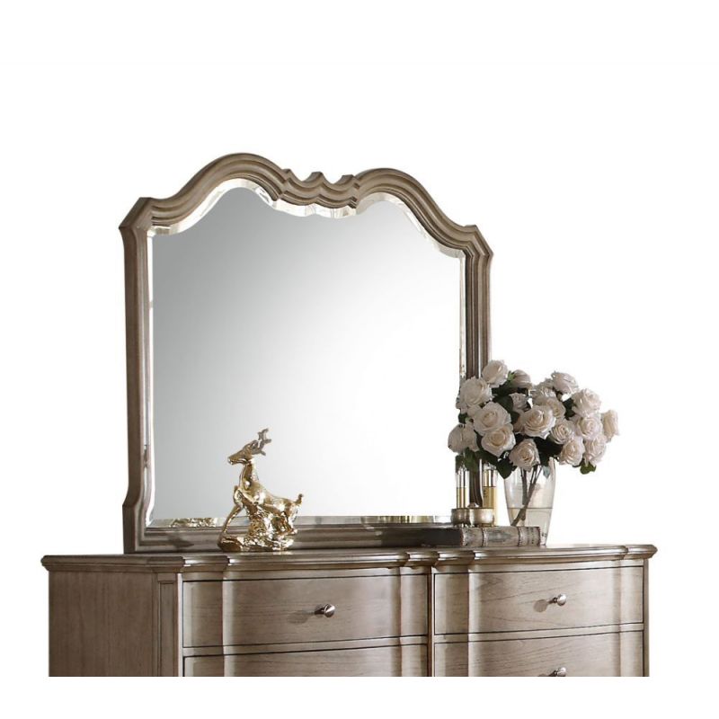 ACME Furniture - Chelmsford Mirror - 26054