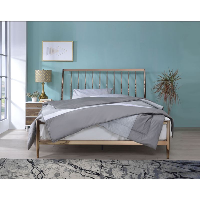 ACME Furniture - Marianne Queen Bed - 22690Q