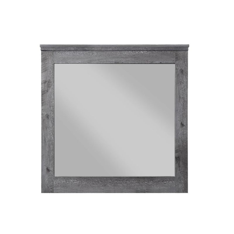 ACME Furniture - Vidalia Mirror - 27324