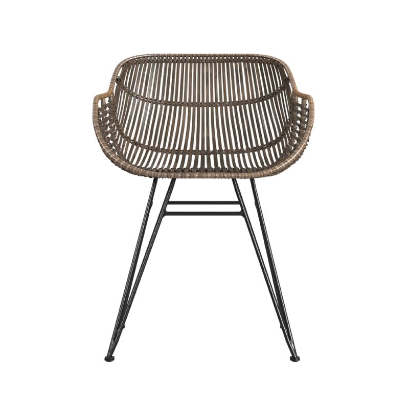 Bassett Mirror - Ryanne Arm Chair (Set of 2) - 9840-DR-810EC