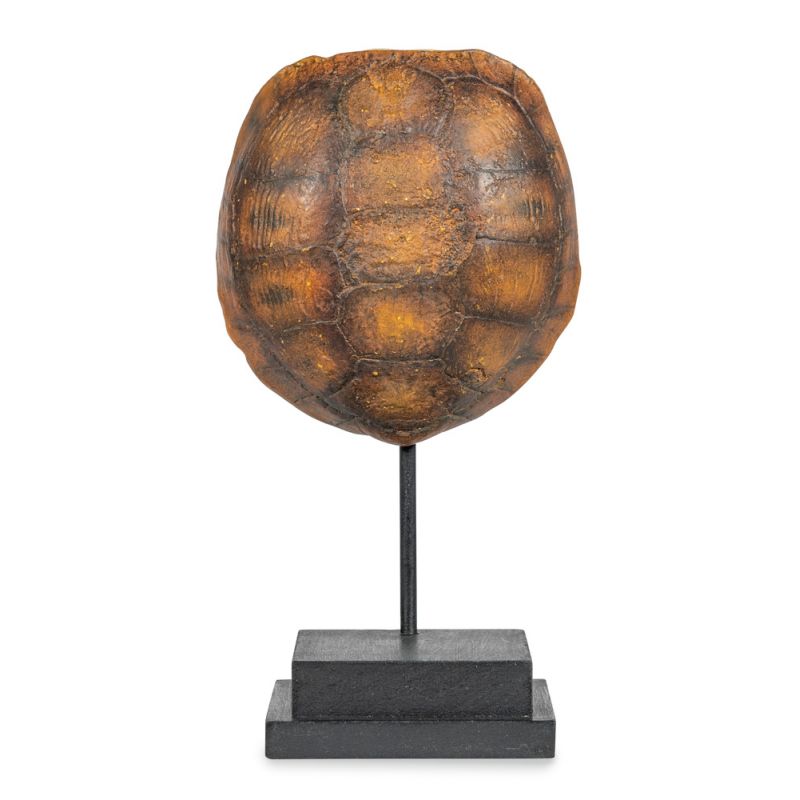 BOBO Intriguing Objects by Hooker Furniture - Faux Gopher Tortoise Shell on Stand - BI-6050-0047
