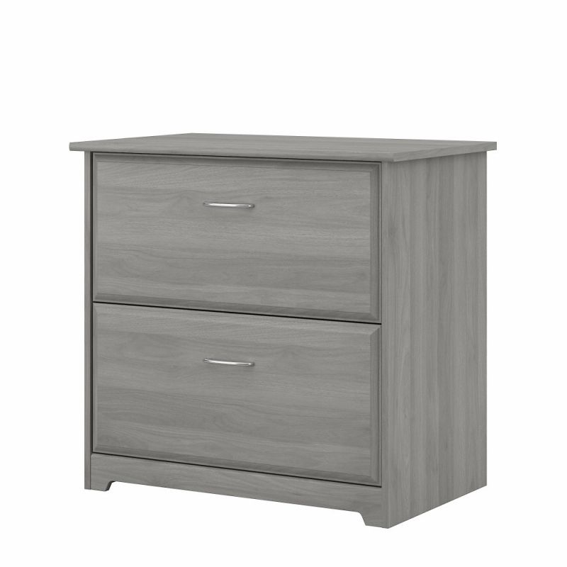 Bush Furniture - Cabot 2 Drawer Lateral File Cabinet in Modern Gray - WC31380