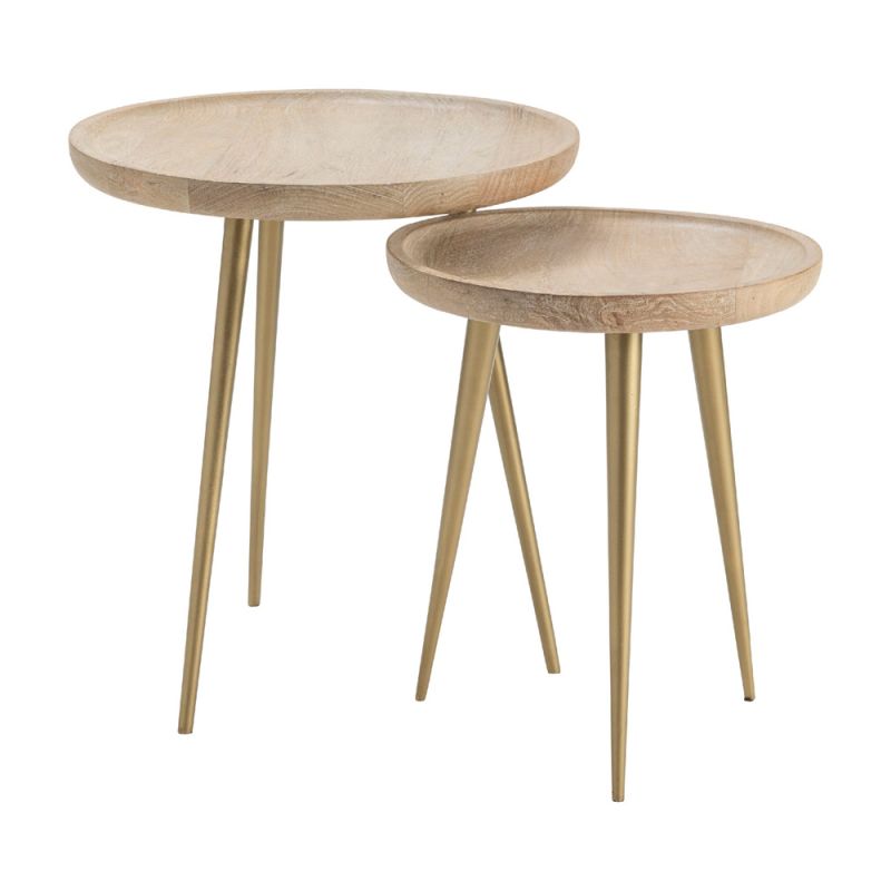 Crestview Collection - Bengal Manor Mango Wood Tray Top Accent Tables with Antique Brass Metal Legs - CVFNR670