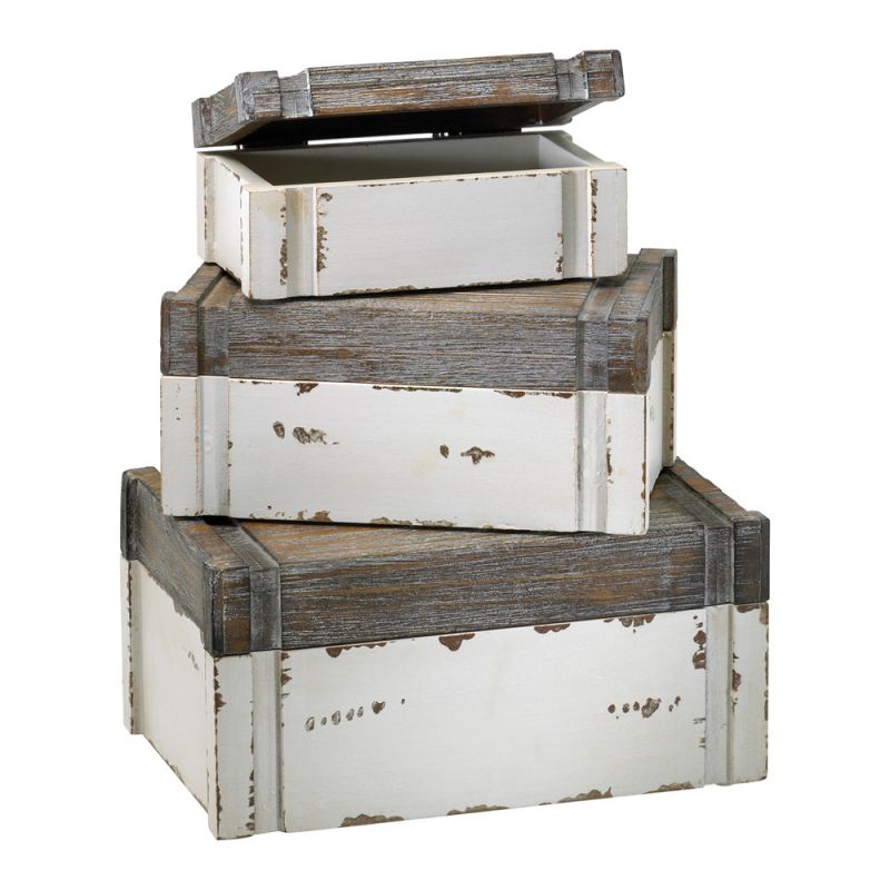 Cyan Design - Alder Boxes (Set of 3) in Distressed White and Gray - 02471