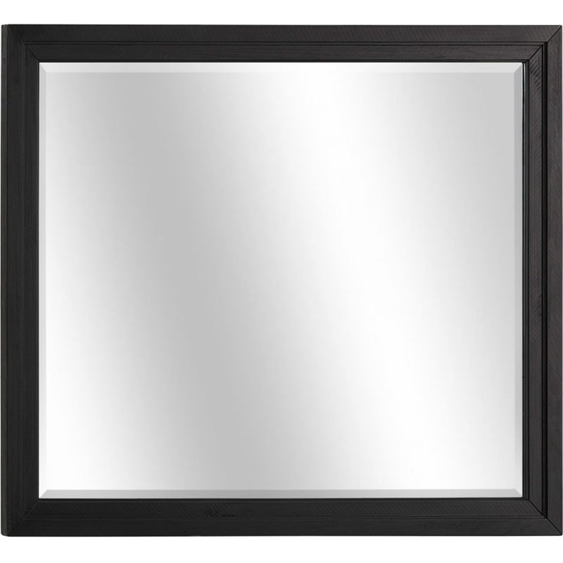 Emery Park - Camden Landscape Mirror in Domino Finish - I631-462