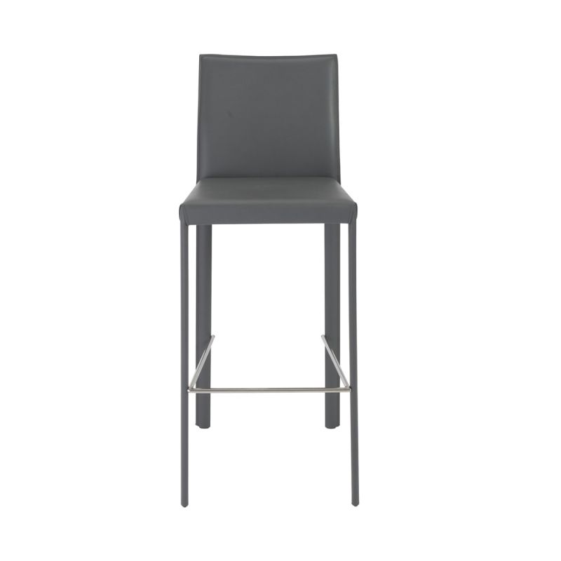 Euro Style - Hasina Bar Stool in Gray with Polished Stainless Steel Legs (Set of 2) - 38625GRY