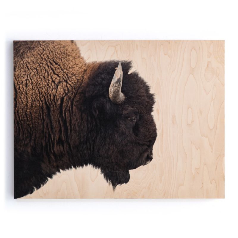 Four Hands - American Bison - Maple Box 60