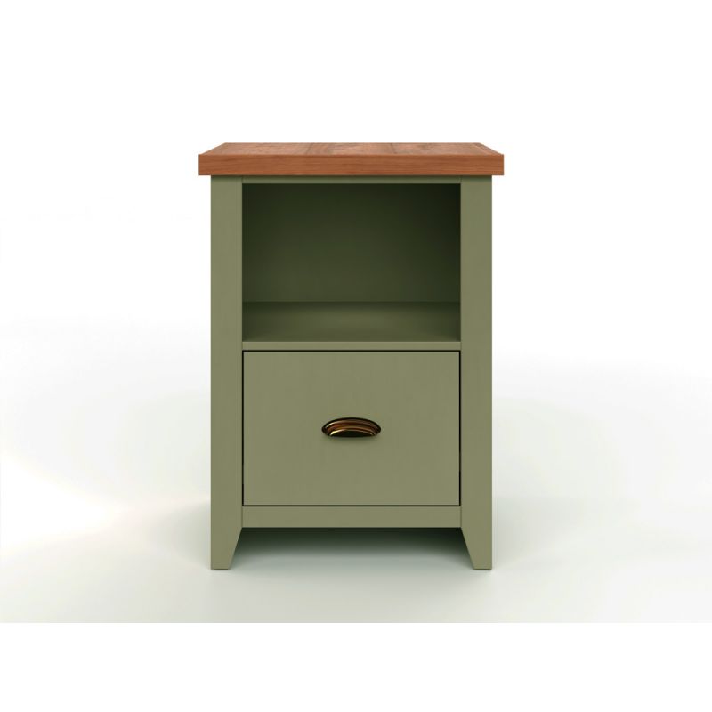 Legends Furniture - Bridgevine Home 20 in. Sage Green and Fruitwood Finish Solid Wood File Cabinet - VY6805.SFL