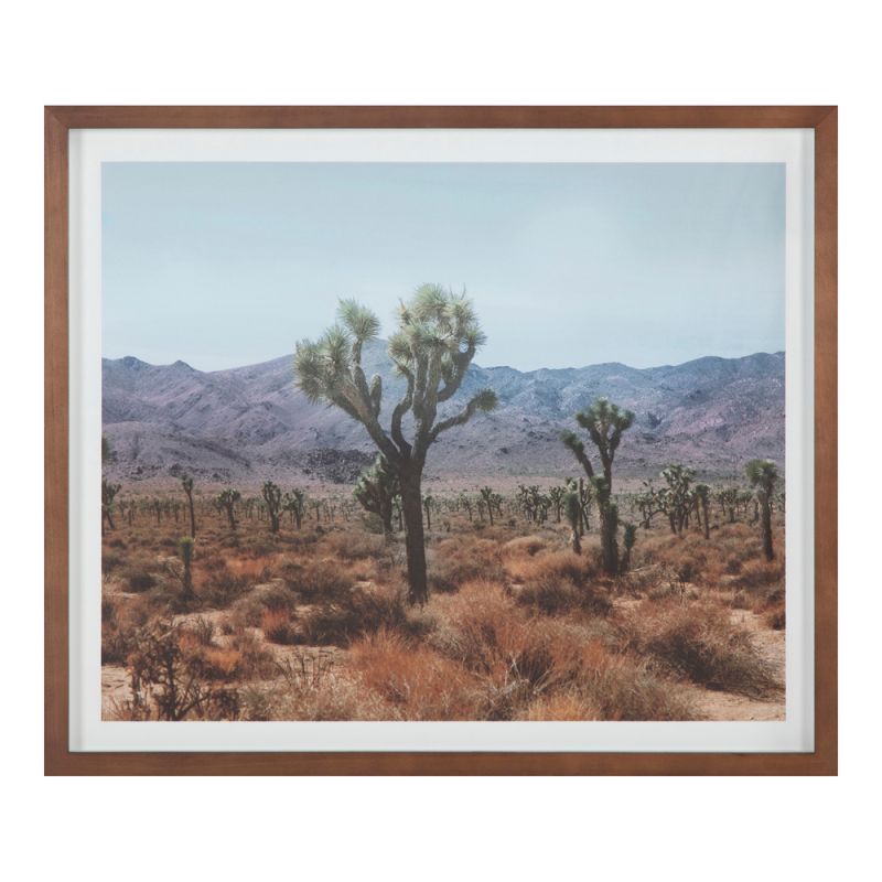 Moes Home - Desert Land Framed Print - WP-1280-37