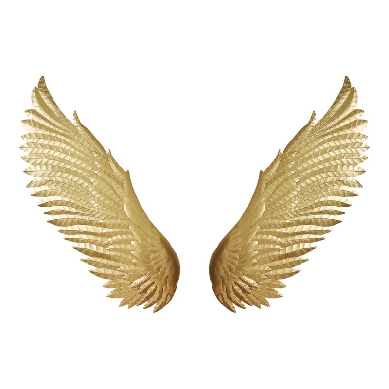 Moes Home - Wings Wall Decor Gold - HZ-1023-32