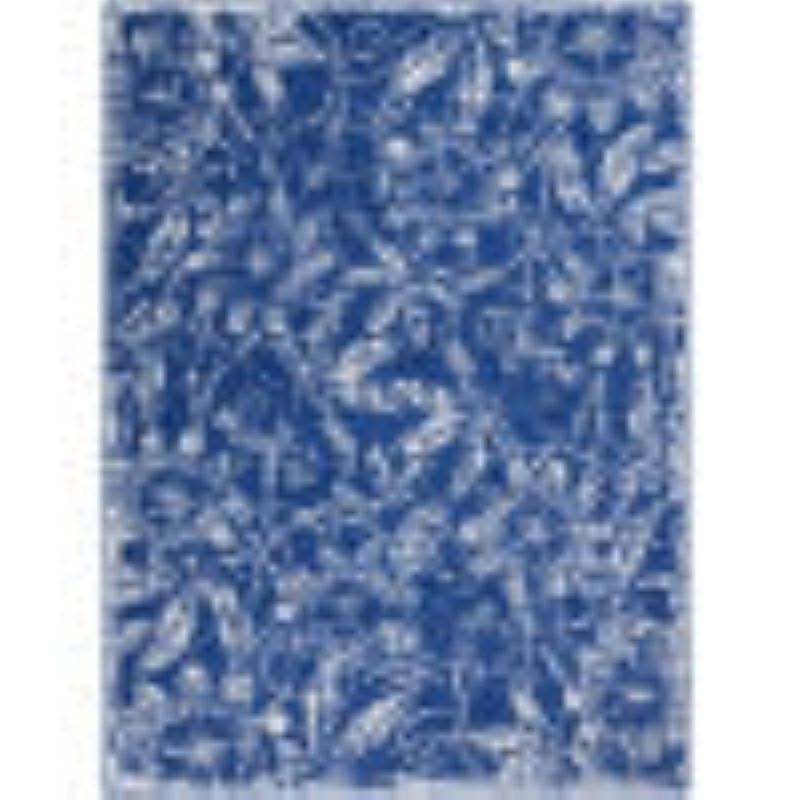 Nourison - Whimsicle Area Rug - 6' x 9' Navy - WHS05-99446836205