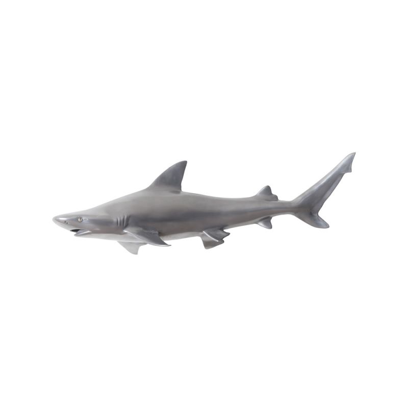 Phillips Collection - Black Tip Reef Shark, Polished Aluminum - PH65284