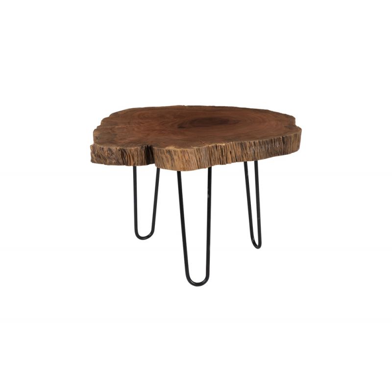 Phillips Collection - Burled Coffee Table, Black Metal Legs, Small - TH109378