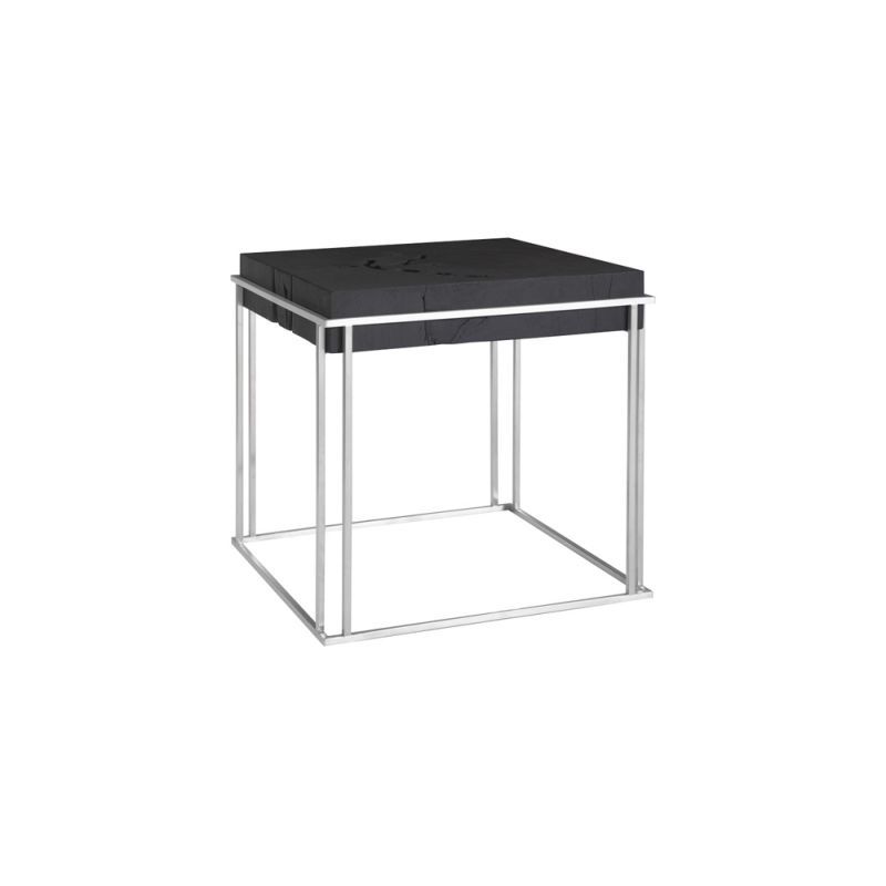 Phillips Collection - Burnt Cube Side Table, Chamcha Wood, Stainless Steel Base - TH74112