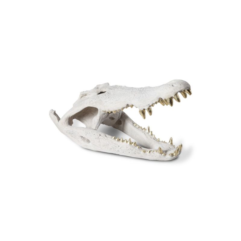 Phillips Collection - Crocodile Skull, Roman Stone, Gold Leaf - PH56708