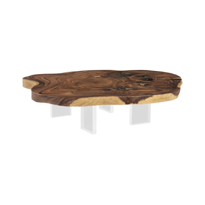 Phillips Collection - Floating Coffee Table with Acrylic Legs, Natural, Assorted - TH103469