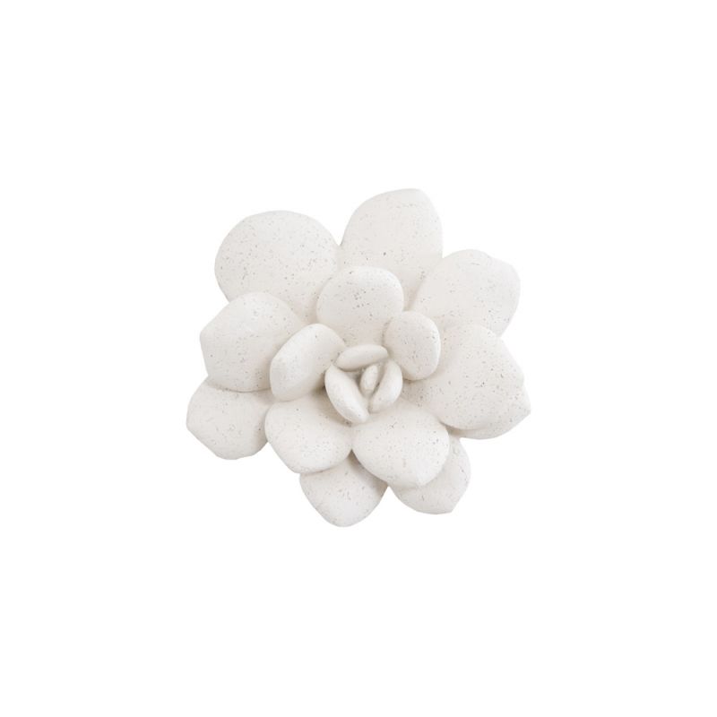 Phillips Collection - Laui Succulent Wall Art, White Stone - PH104150