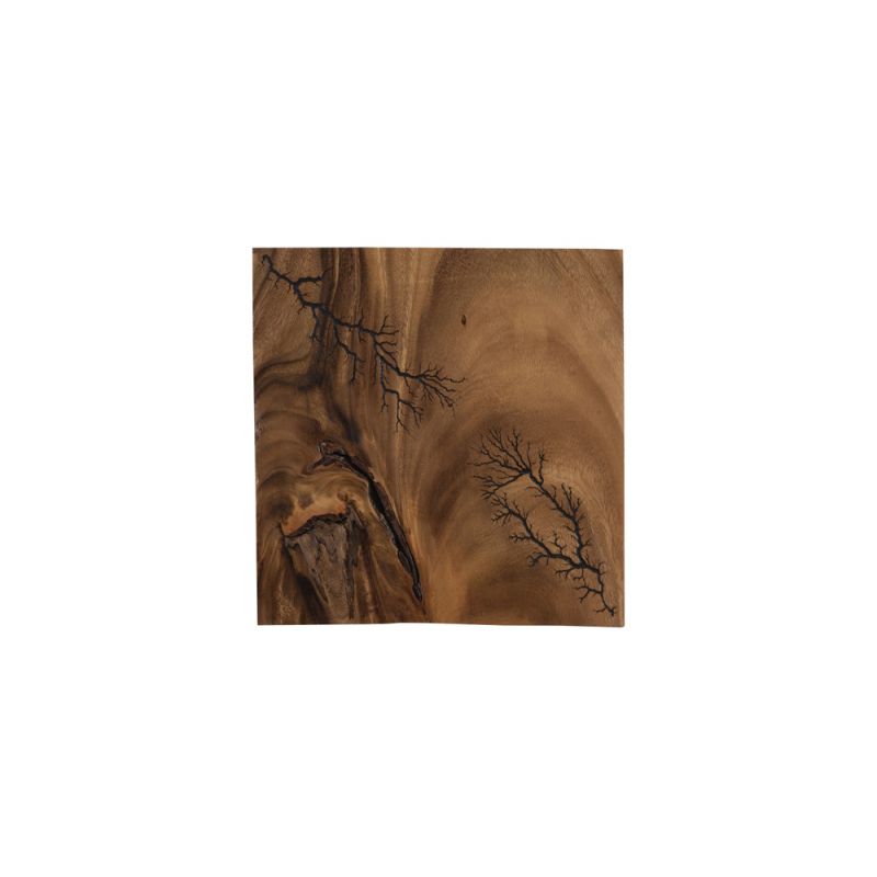 Phillips Collection - Lightning Wall Tile, Chamcha Wood - TH97693