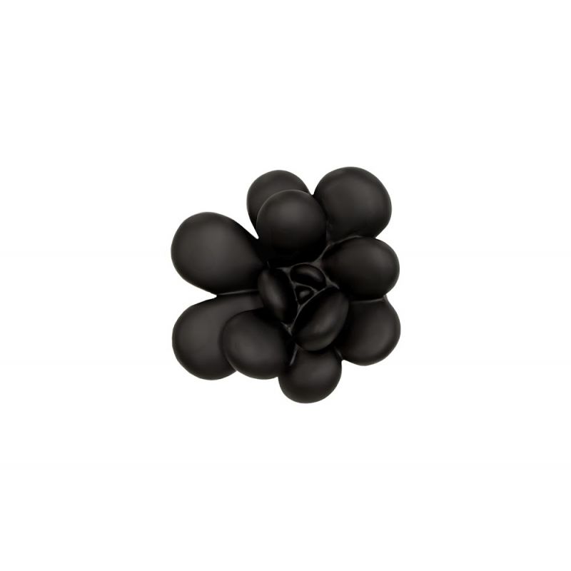 Phillips Collection - Oviferum Succulent Wall Art, Smooth Matte Black - PH111558