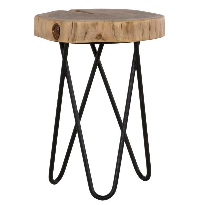 Primo International - Colton 12 in. RoundWood and Metal End Table - 36252