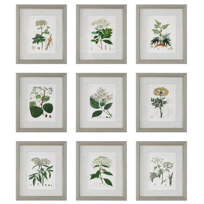 Uttermost - Antique Botanicals Framed Prints, Set of 9 - 41466