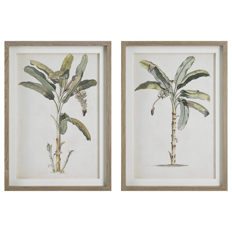 Uttermost - Banana Palm Framed Prints, Set/2 - 41446