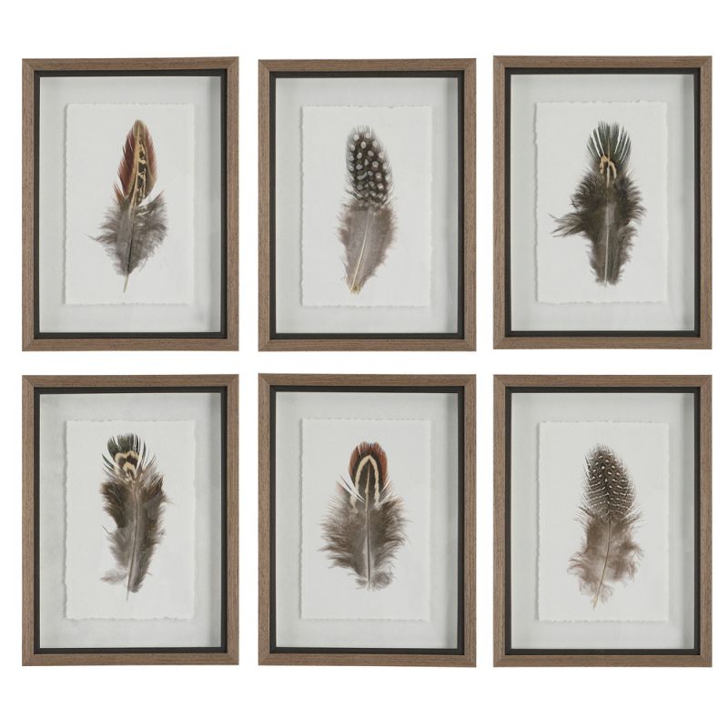 Uttermost - Birds Of A Feather Framed Prints, Set of 6 - 41460