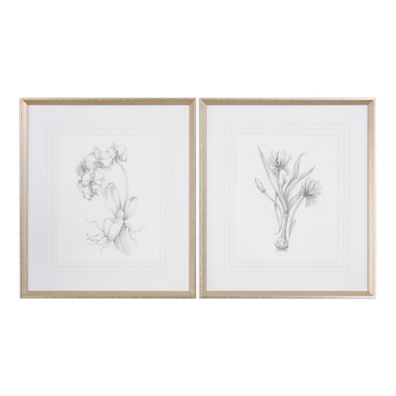 Uttermost - Botanical Sketches Framed Prints (Set of 2) - 33649