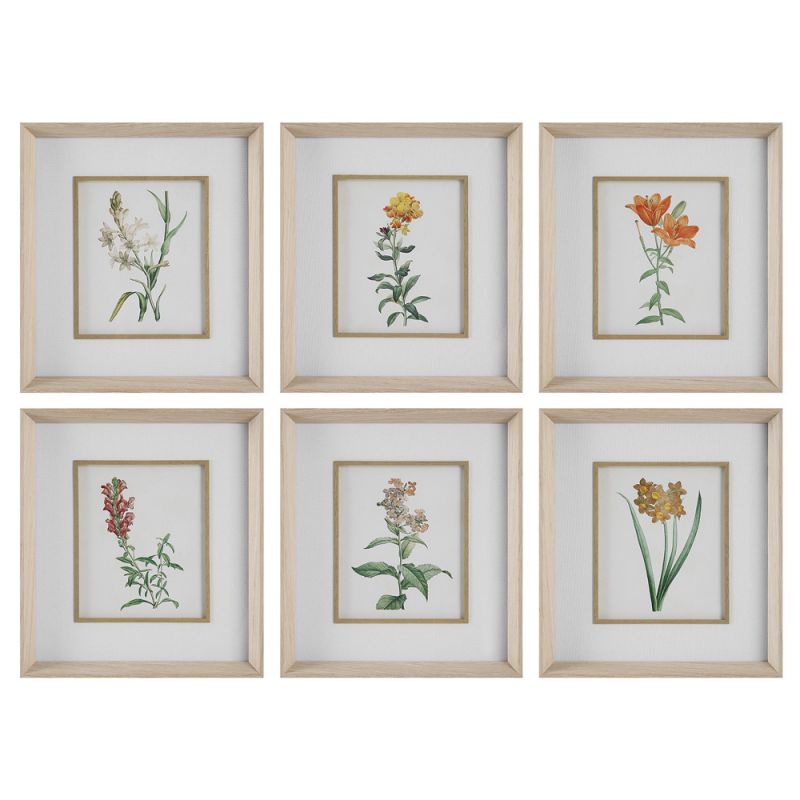 Uttermost - Classic Botanicals Framed Prints Set/6 - 32284