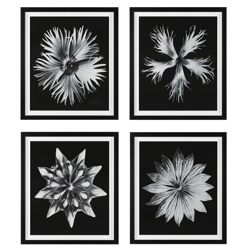 Uttermost - Contemporary Floret Framed Prints (Set of 4) - 41427